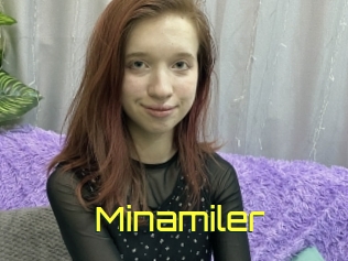 Minamiler