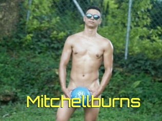 Mitchellburns