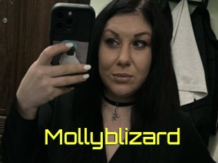 Mollyblizard