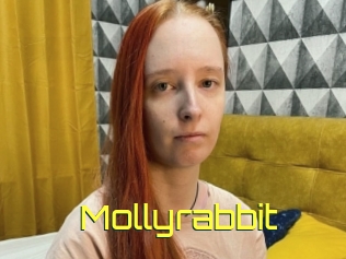 Mollyrabbit