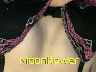 Moonflower