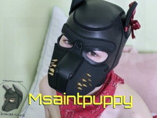 Msaintpuppy