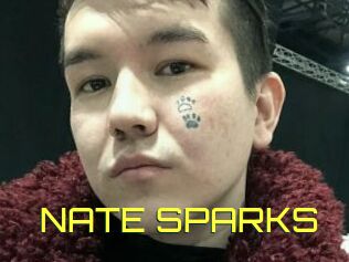 NATE_SPARKS