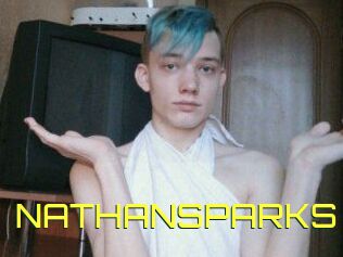 NATHAN_SPARKS