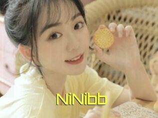 NiNibb