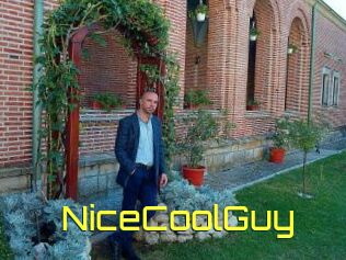 NiceCoolGuy