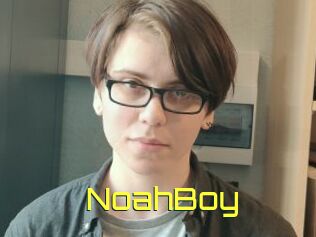 NoahBoy