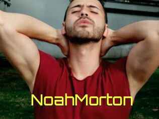 NoahMorton