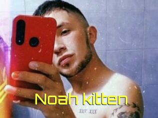 Noah_kitten