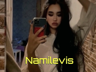 Namilevis