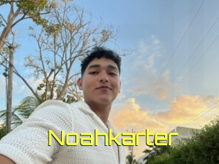 Noahkarter