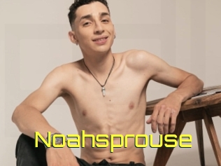 Noahsprouse