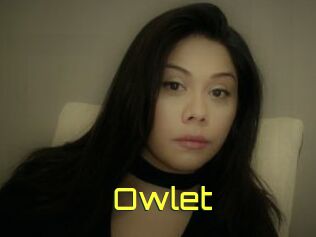 _Owlet_