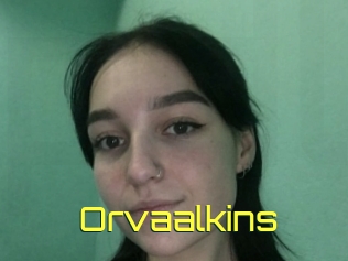 Orvaalkins