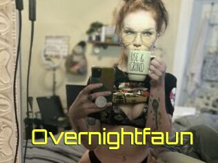 Overnightfaun