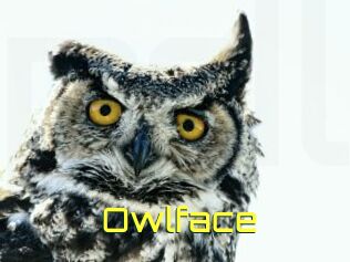 Owlface