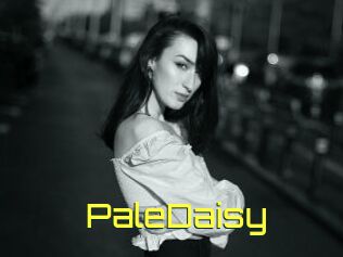 PaleDaisy