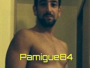 Pamigue84