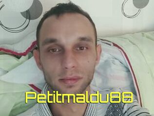 Petitmaldu88