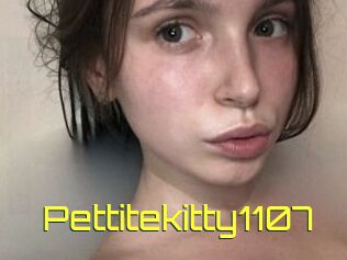 Pettitekitty1107