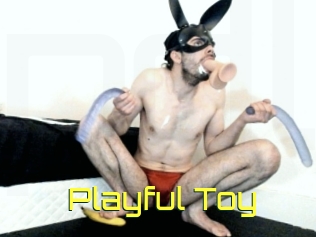 Playful_Toy