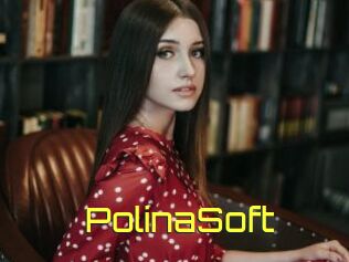 PolinaSoft