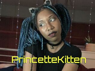 PrincetteKitten