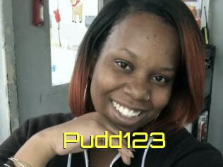 Pudd123