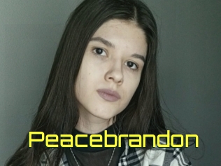 Peacebrandon