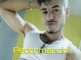 Pedromancini