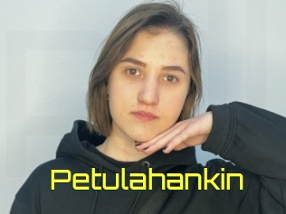 Petulahankin