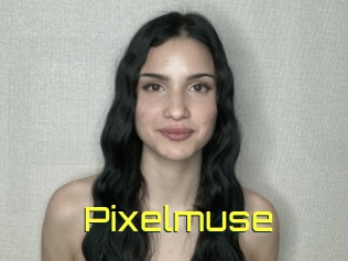 Pixelmuse