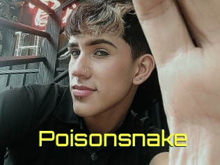 Poisonsnake