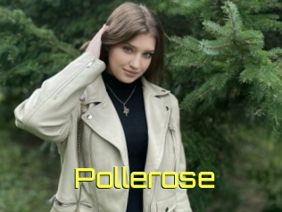 Pollerose