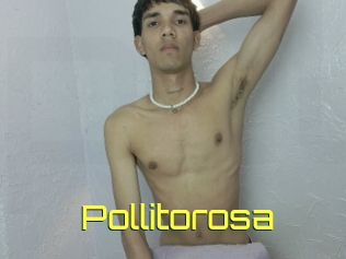 Pollitorosa