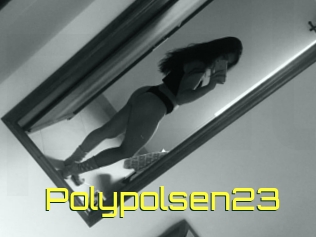 Polypolsen23