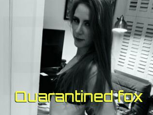 Quarantined_fox