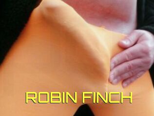 ROBIN_FINCH