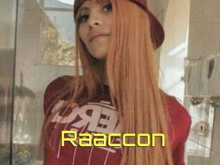 Raaccon