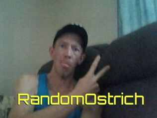 RandomOstrich