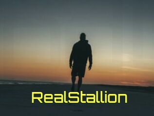 RealStallion