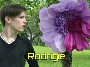 Rodrigie