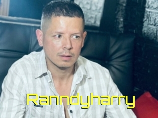 Ranndyharry