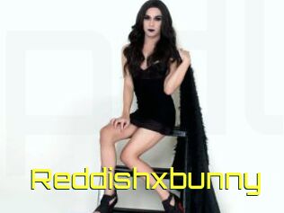 Reddishxbunny