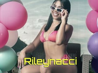 Rileynacci