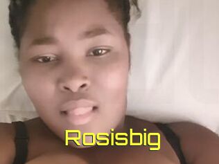 Rosisbig