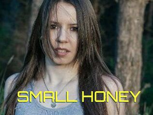 SMALL_HONEY