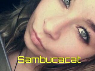 Sambucacat