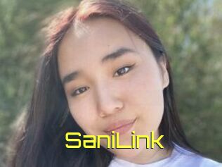 SaniLink
