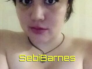 Sebi_Barnes